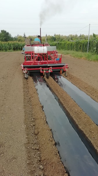 180型红薯起垄镇压铺膜施肥一体机